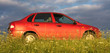 red cars on natural background red cars on natural background