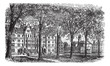 Harvard University, Cambridge, Massachussets vintage engraving