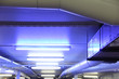 Foto: lights lights