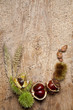 Chestnuts frame