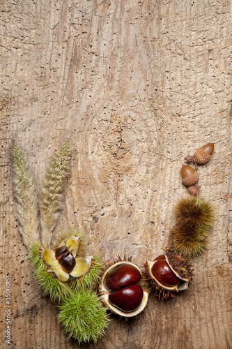 Photo: Chestnuts frame Chestnuts frame