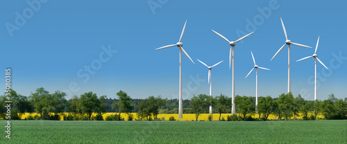 Foto: Windkrafträder in einem Rapsfeld hinter einer Allee Windkrafträder in einem Rapsfeld hinter einer Allee