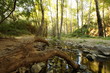 River in Automn