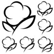 6 Cotton Icons