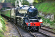 Steam train and bridge