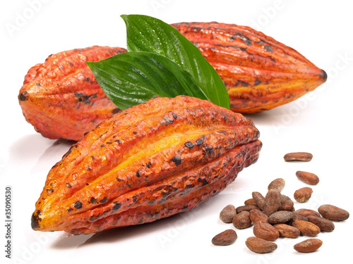 Photo: Kakaobohnen - Frucht Kakaobohnen - Frucht