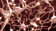 Active nerve cell