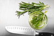 Photo: Rosemary leaves with cutting on stainless steel Rosemary leaves with cutting on stainless steel