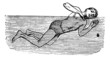 Thrusting, vintage engraved illustration