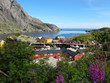 Picturesque landscape at Norway village Picturesque landscape at Norway village