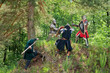 fighting knights