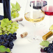 Glasses of white, red and rose wine and grapes