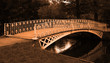 Victorian looking bridge