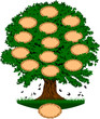 family tree