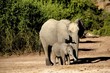 Photo: Mutter und Kind Mutter und Kind