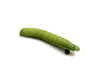 Caterpillar of Green-veined White Butterfly (Pieris napi)