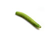 Caterpillar of Green-veined White Butterfly (Pieris napi)