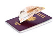 Billet avion et passeport Billet avion et passeport