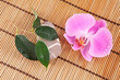 Stuoia, pietra, orchidea e foglia