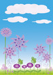 wild flowers