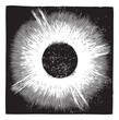Solar corona vintage engraving