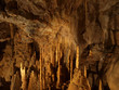 Grotte de Darglian - Gorges du Jonte