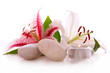 Wellness,Massage