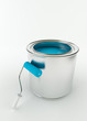 Paint bucket and paint roller