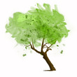 green art  tree