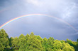 Foto: Rainbow Rainbow