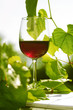 red wine glass on a wooden table with grapes leaves