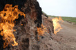 Yanardag