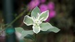green flower