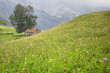 Paisaje de Picos de Europa (Asturias, España)