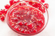 Johannisbeermarmelade