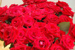 Rosen 1
