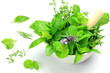 herb