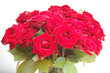Rosen 3
