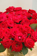 Rosen 2