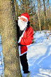 Santa Claus in forest Santa Claus in forest