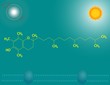Vitamin E structure (tocopherol)