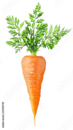 Photo: Carrot with leaves isolated on white Carrot with leaves isolated on white
