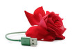 Rosa rossa USB /USB Red rose