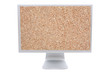 Computer monitor