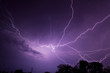 Photo: Spectacular Lighting Spectacular Lighting