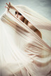 Photo : Cocoon
