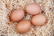 Four brown eggs Four brown eggs