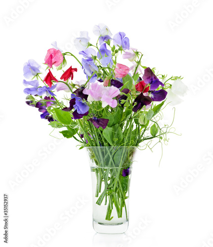 Photo: Bouquet of sweet pea flowers in vase Bouquet of sweet pea flowers in vase
