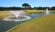 Fountain in the artificial pond. Fountain in the artificial pond.