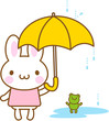 うさぎ　雨